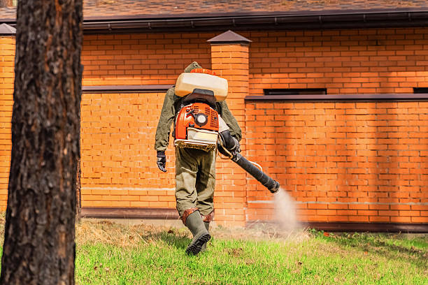 Top rated local Ant Control specialists in Claypool, AZ